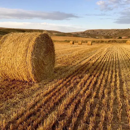 La Yedra Сasa de vacaciones *