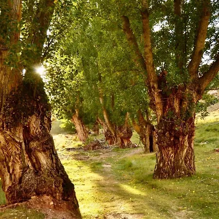 La Yedra Сasa de vacaciones Galve