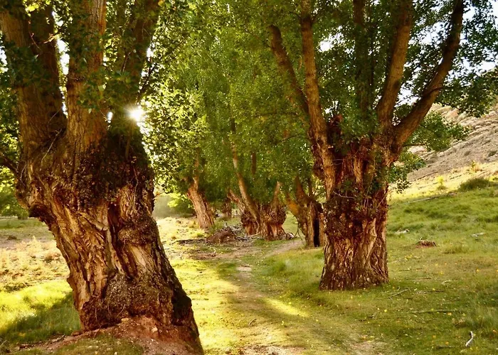 La Yedra 펜션 Galve